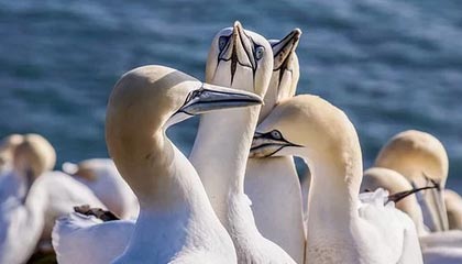 华体会官网：点亮体育热情的官方入口